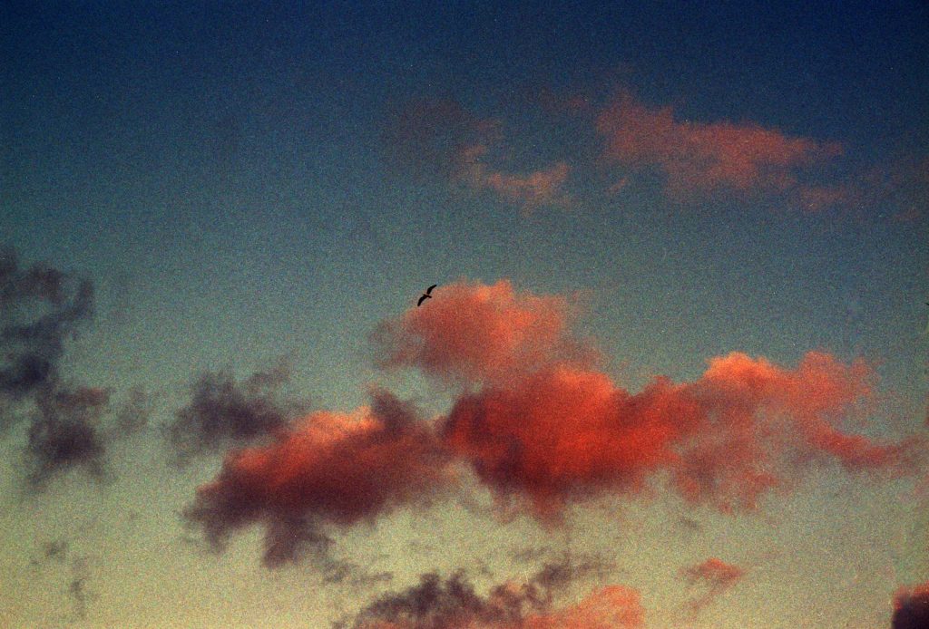 Pink clouds are lit by the setting sun.